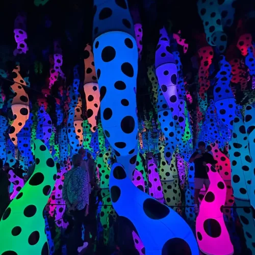 WhatsApp Image 2025-11-26 at 21.12.25